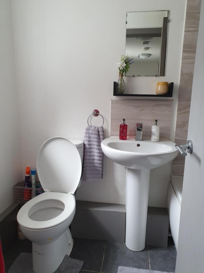 Apartament 9 Dial Street Liverpool Zewnętrze zdjęcie